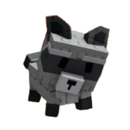 Racoon